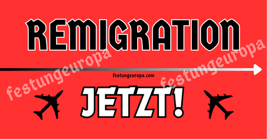 REMIGRATION JETZT! Sticker